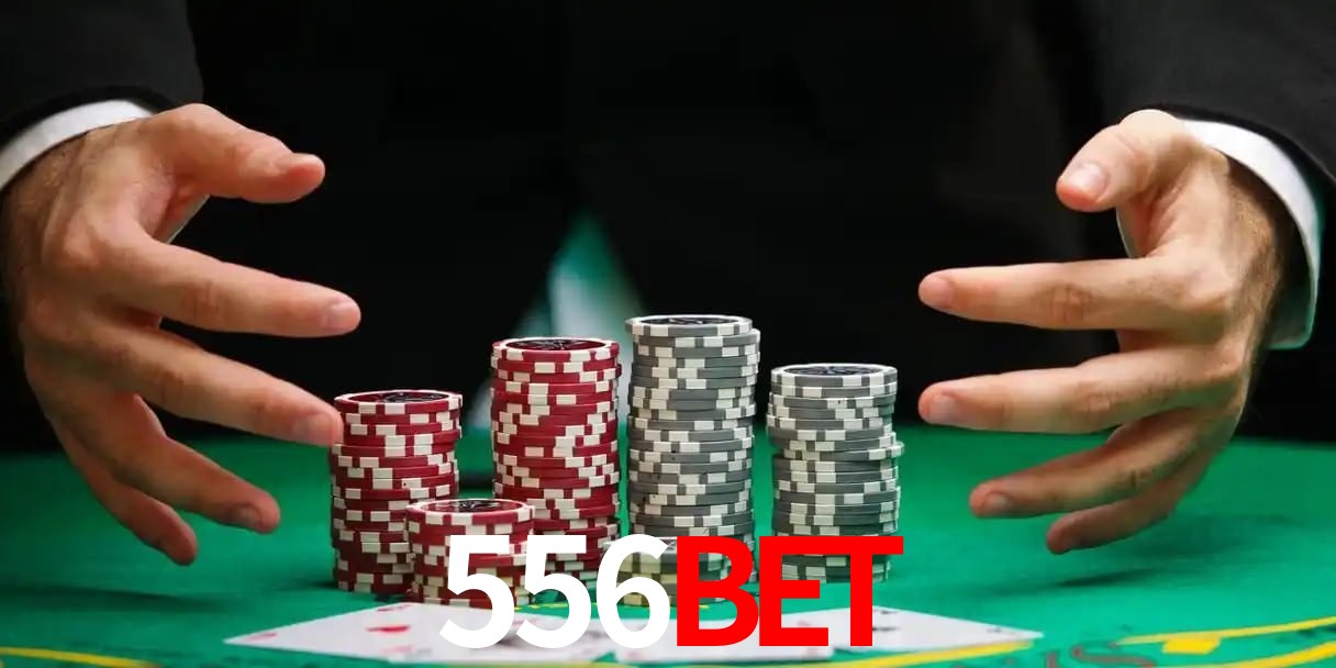 556bet Aplicativo - 556bet visual 2